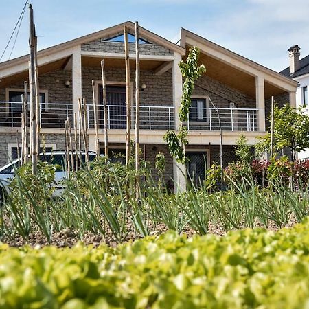 Villa Garden Shkodra Екстер'єр фото