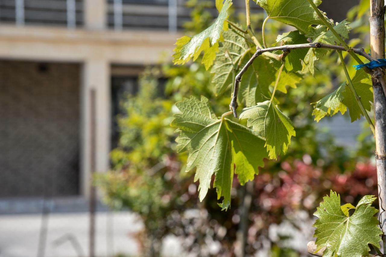 Villa Garden Shkodra Екстер'єр фото