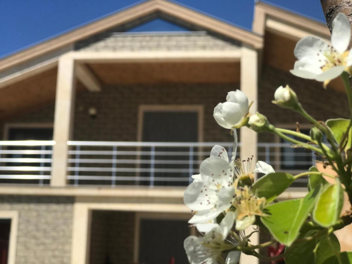 Villa Garden Shkodra Екстер'єр фото