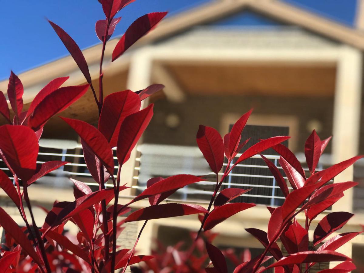 Villa Garden Shkodra Екстер'єр фото